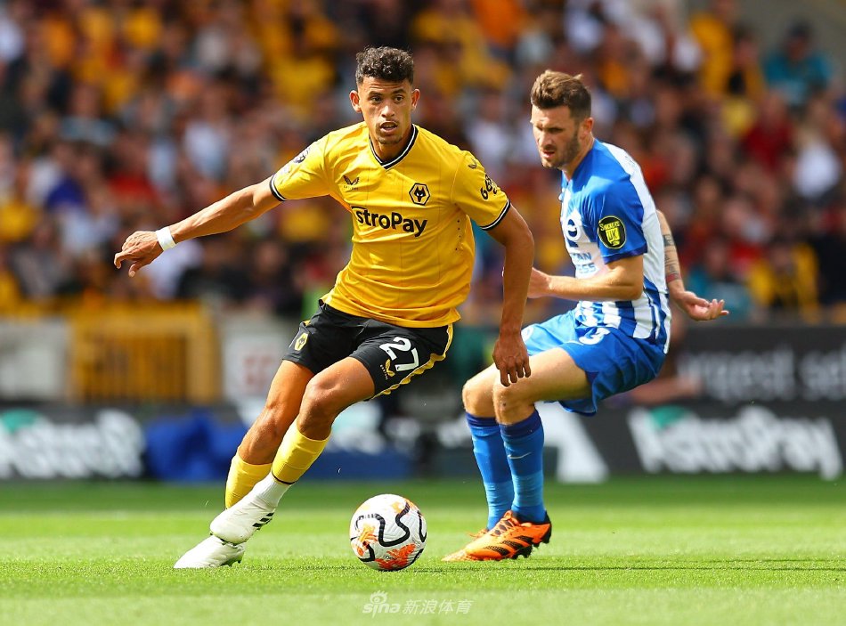 也成为球员 也成为球员